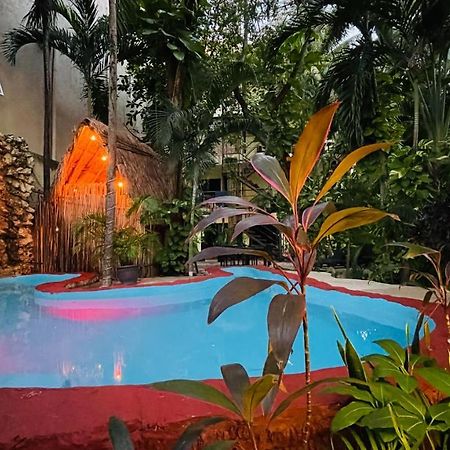 Hotel B&B - 5Th Avenue بلايا ديل كارمن المظهر الخارجي الصورة The swimming pool at the hotel
