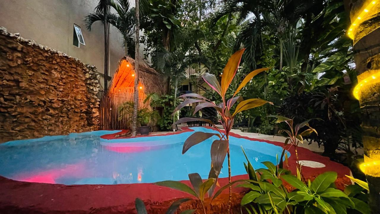 Hotel B&B - 5Th Avenue بلايا ديل كارمن المظهر الخارجي الصورة The swimming pool at the hotel