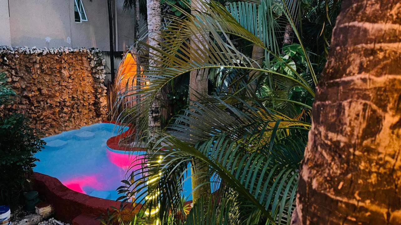Hotel B&B - 5Th Avenue بلايا ديل كارمن المظهر الخارجي الصورة The pool at the 2019 edition of the festival